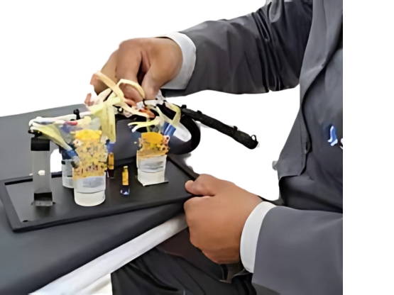 Electrical System Integrator India